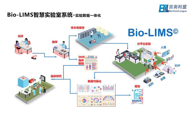如何避免常见的电脑故障?从硬件到软件,一招教你搞定!